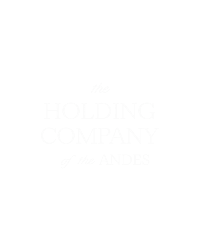 Holding Company of the Andes Logo